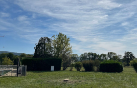 Elagage à Saint-Geosmes