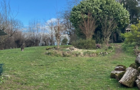 Abattage d’un pin à Bourbonne-les-Bains